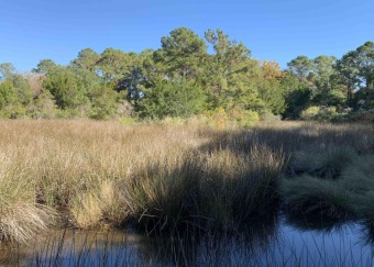 Beach Acreage Off Market in Mount Pleasant, South Carolina