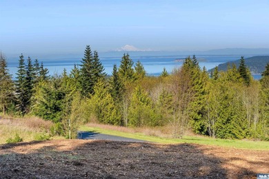 Beach Lot For Sale in Sequim, Washington
