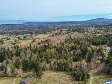 Beach Acreage Active Under Contract in Port Angeles, Washington