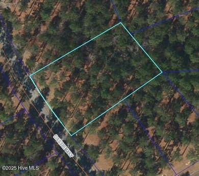 Beach Lot For Sale in Oriental, North Carolina