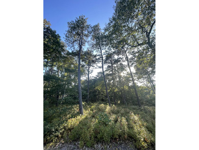 Beach Lot For Sale in Wellfleet, Massachusetts