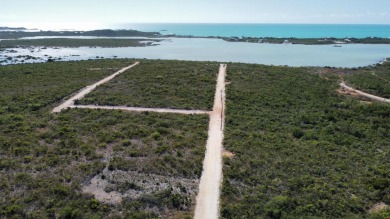 Beach Lot Off Market in Providenciales, West Caicos, Turks and Caicos Islands