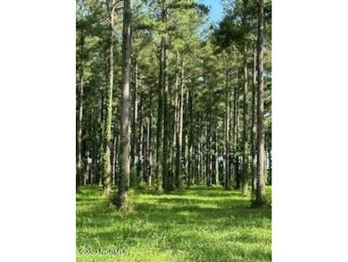 Beach Lot For Sale in Oriental, North Carolina
