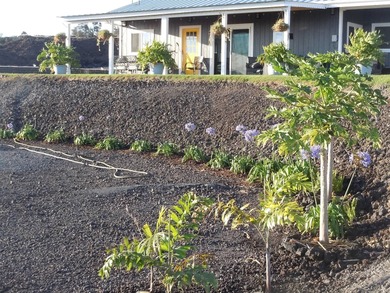 Beach Home For Sale in Captain Cook, Hawaii