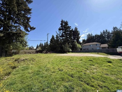 Beach Lot For Sale in Port Angeles, Washington