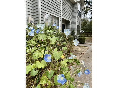 Beach Townhome/Townhouse For Sale in Mount Pleasant, South Carolina