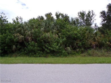 Beach Lot For Sale in Port Charlotte, Florida