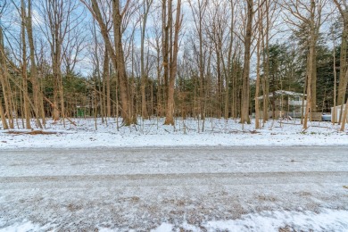 Beach Lot For Sale in South Haven, Michigan