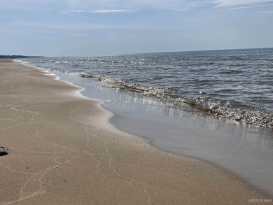 Beach Acreage For Sale in Gulliver, Michigan