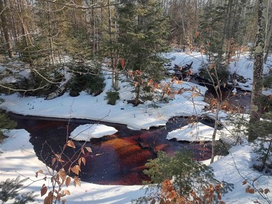 Beach Acreage Active Under Contract in Manistique, Michigan