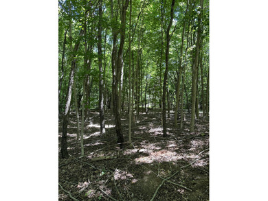 Beach Acreage For Sale in South Haven, Michigan