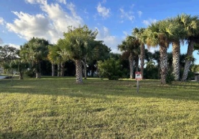 Beach Lot For Sale in Merritt Island, Florida