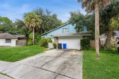 Beach Home For Sale in Tampa, Florida