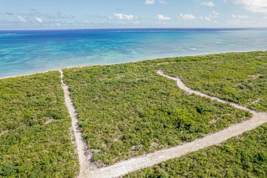 Beach Acreage Off Market in Providenciales, 