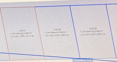 Beach Lot For Sale in South Padre Island, Texas