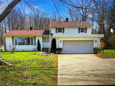 Beach Home For Sale in Conneaut, Ohio