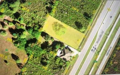 Beach Lot For Sale in Port Charlotte, Florida