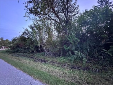 Beach Lot For Sale in Port Charlotte, Florida