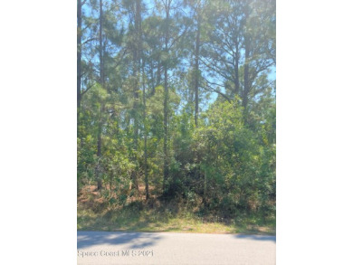 Beach Lot Off Market in Palm Bay, Florida