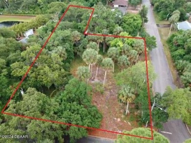 Beach Lot For Sale in Port Orange, Florida