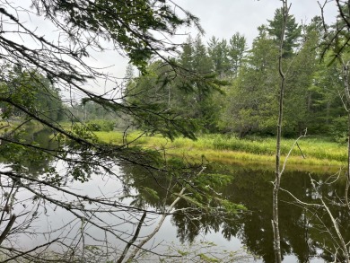 Beach Lot For Sale in Naubinway, Michigan