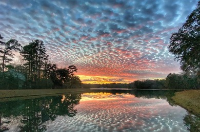 Beach Lot For Sale in Seabrook, South Carolina