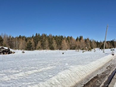 Beach Acreage For Sale in Gulliver, Michigan