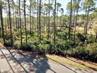 Beach Lot Off Market in Carabelle, Florida