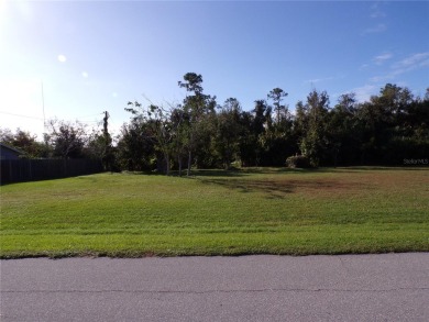 Beach Lot For Sale in Punta Gorda, Florida