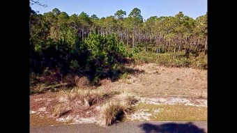 Beach Lot Off Market in Carabelle, Florida