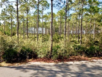 Beach Lot Off Market in Carabelle, Florida