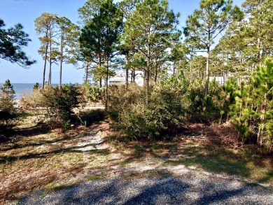 Beach Lot Off Market in Carabelle, Florida