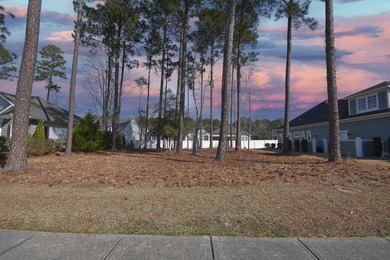 Beach Lot For Sale in Myrtle Beach, South Carolina