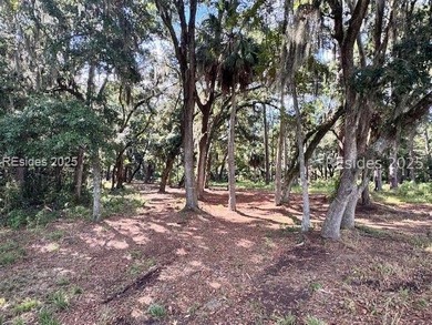 Beach Lot For Sale in Bluffton, South Carolina