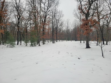 Wooded acreage adjoining Federal Forest. 27 acres with 33 Ft - Beach Acreage for sale in Free Soil, Michigan on Beachhouse.com