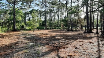 Beach Acreage For Sale in Carabelle, Florida