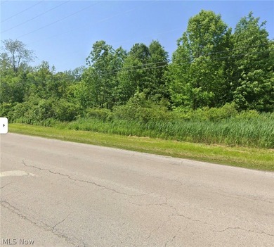 Beach Lot For Sale in Ashtabula, Ohio