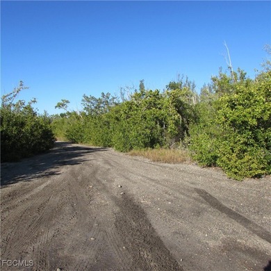 Beach Acreage For Sale in Bokeelia, Florida