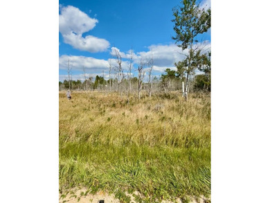 Beach Lot For Sale in Onekama, Michigan
