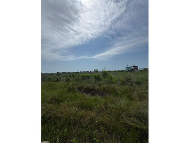 Beach Lot For Sale in Sargent, Texas