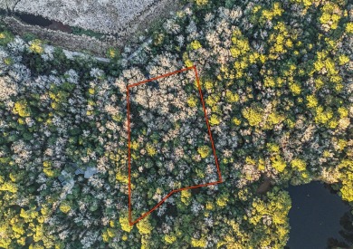 Beach Lot For Sale in Charleston, South Carolina