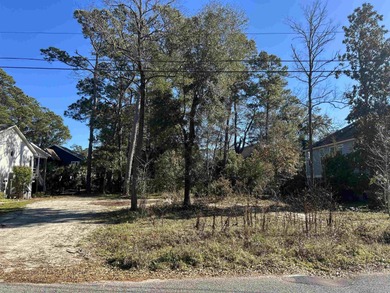 Beach Lot For Sale in Pawleys Island, South Carolina