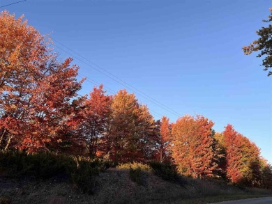 Beach Acreage For Sale in Petoskey, Michigan