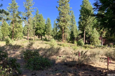 Beach Lot Off Market in Glenbrook, Nevada