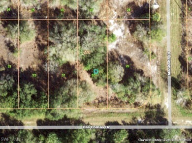 Beach Lot For Sale in Punta Gorda, Florida