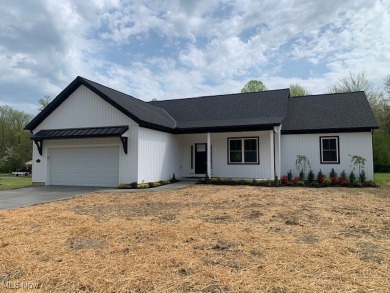 Beach Home For Sale in Madison, Ohio