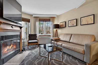 Beach Condo For Sale in Mont-Tremblant, Quebec