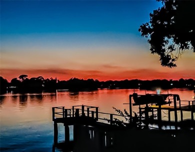 Beach Home For Sale in Tarpon Springs, Florida