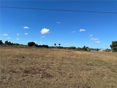 Beach Lot For Sale in Lehigh Acres, Florida