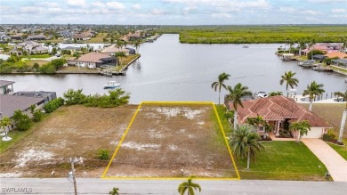 Beach Lot For Sale in Cape Coral, Florida